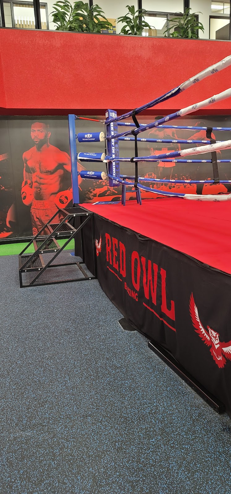 Red Owl Boxing | 952 Century Dr, Burlington, ON L7L 5P2, Canada | Phone: (877) 678-0367