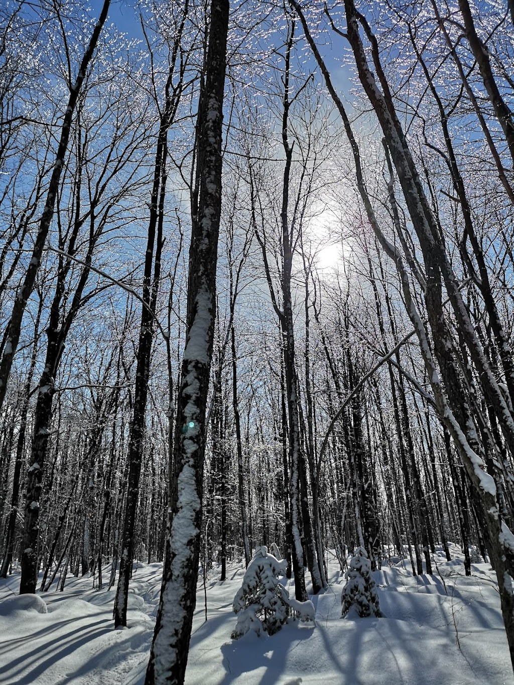 Bruce Peninsula Mountain Bike Adventure Park | 661 Bruce County Rd 9, Wiarton, ON N0H 2T0, Canada | Phone: (800) 268-3838