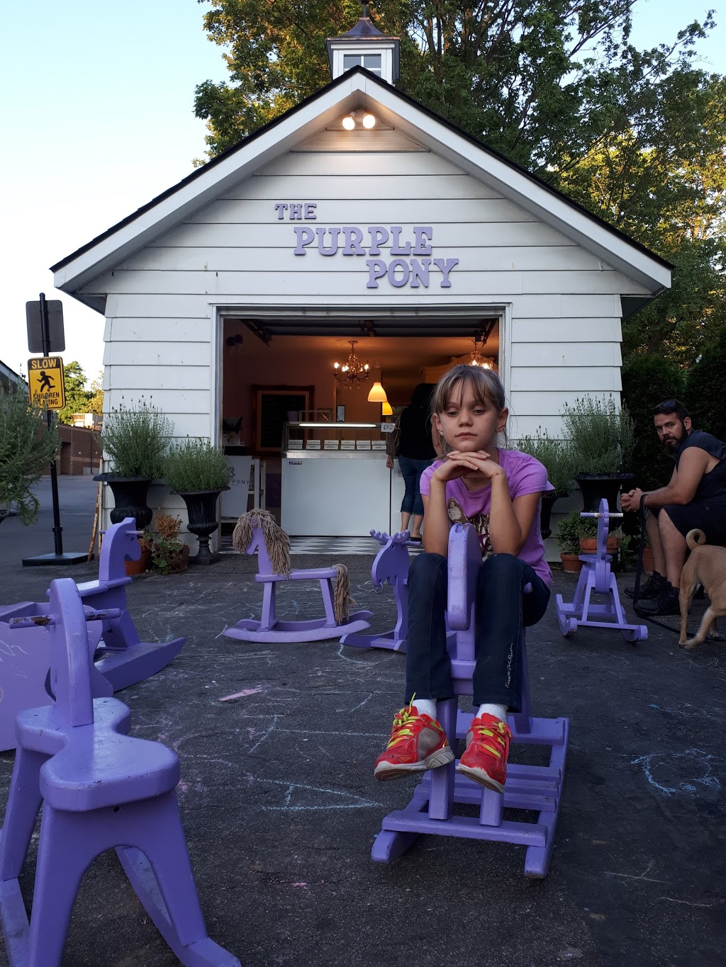 The Purple Pony Ice Cream Shop | 346 Wilson St E, Ancaster, ON L9G 2C2, Canada | Phone: (905) 928-1110