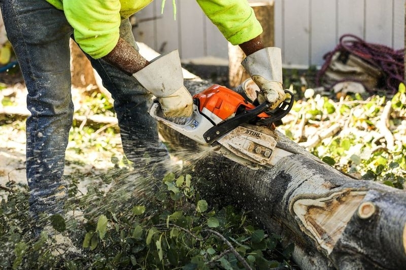 Sturgeon Valley Tree Service | 816 Grandin Dr, Morinville, AB T8R 1T9, Canada | Phone: (780) 939-3936