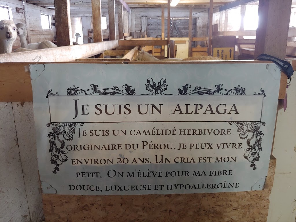 La ferme le moment présent | 155 Chem. Thomas N, Notre-Dame-de-la-Salette, QC J0X 2L0, Canada | Phone: (819) 766-2022