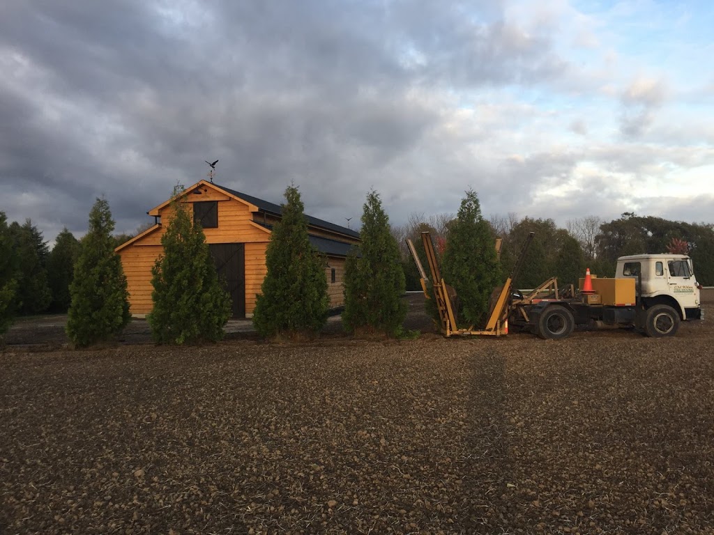 CM Wilson Tree Moving Service | 22222 Creek Rd, Chatham, ON N7M 5J3, Canada | Phone: (519) 354-2734