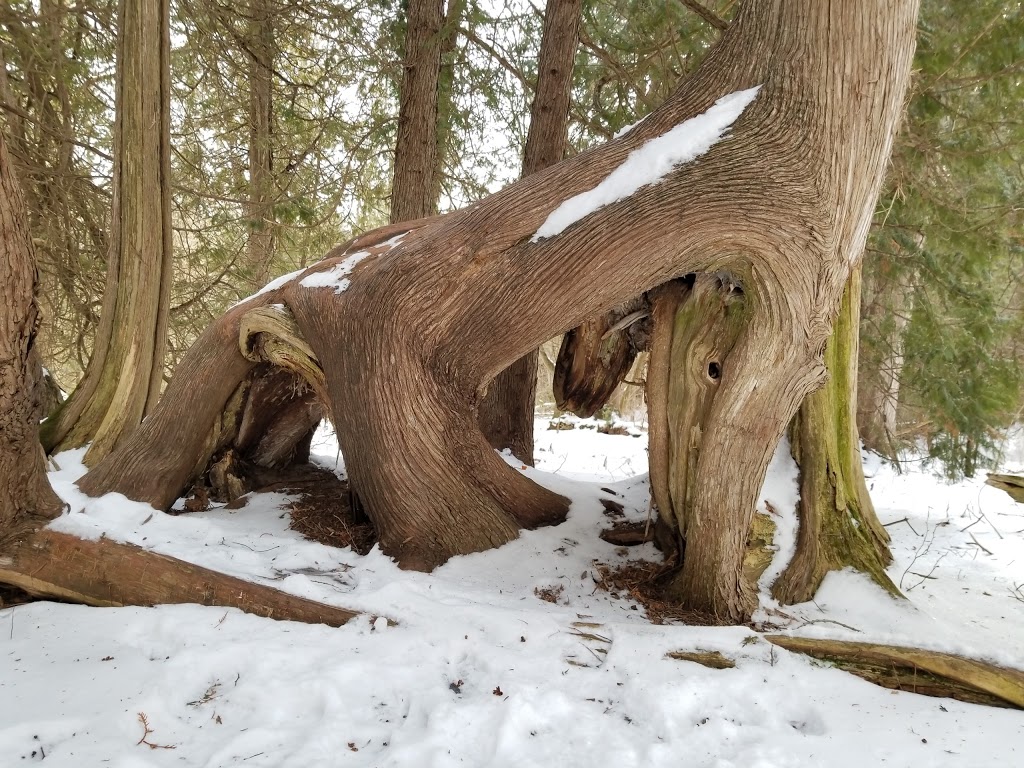 Seaton Trail | Seaton Hiking Trail, Pickering, ON L0H, Canada