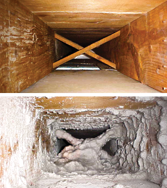 Paragon Air Duct Cleaning | 230 Sophia Rd, Markham, ON L3S 4C6, Canada | Phone: (416) 523-3391