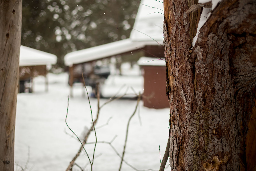 Tallpine Lodges - A Romantic Adult only Getaway! | 800 W Hawk Blvd, West Hawk Lake, MB R0E 2H0, Canada | Phone: (204) 349-2209