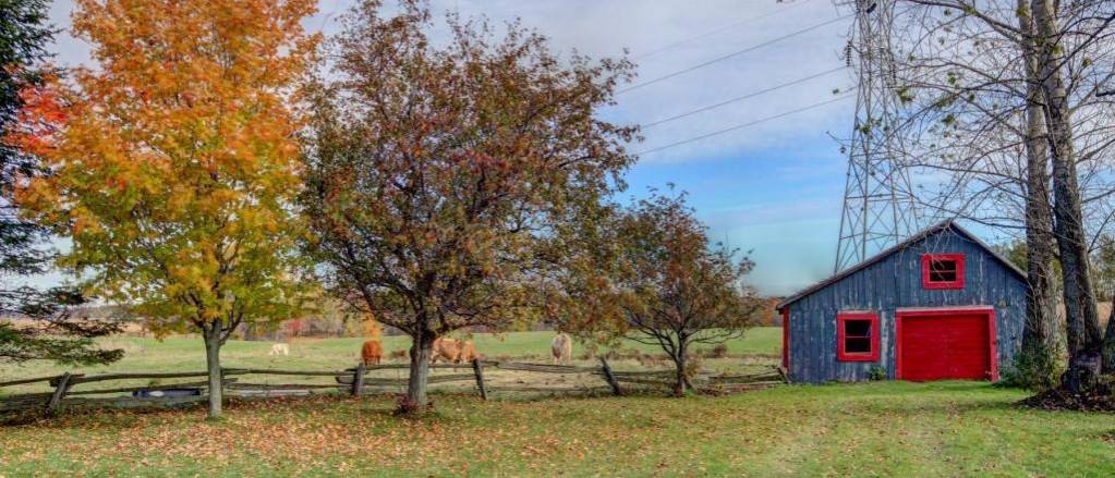 La Gauloise ferme maraîchère | 690 Rang du Haut de lÎle, Sainte-Monique, QC J0G 1N0, Canada | Phone: (514) 918-3622