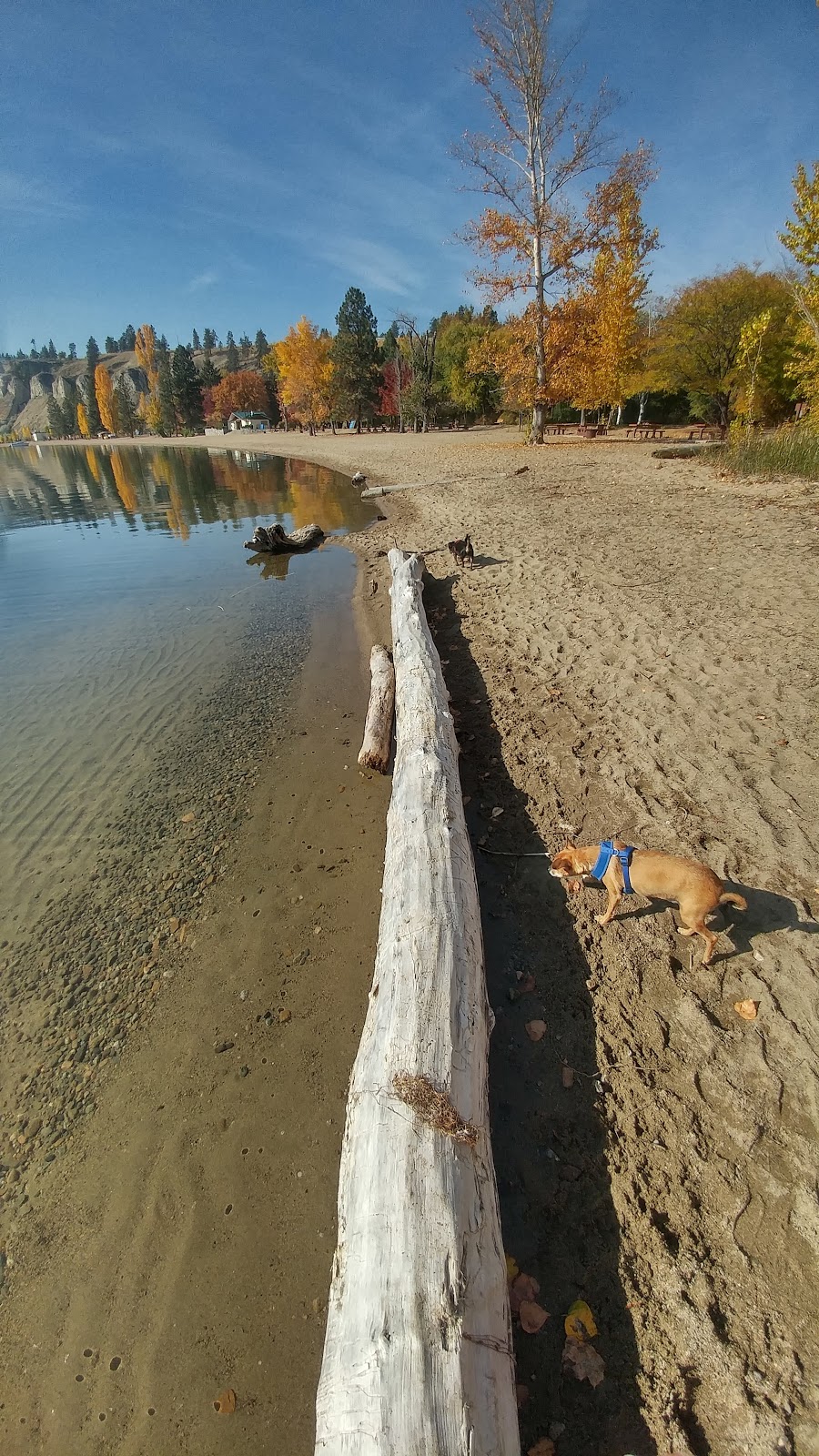 Sun-Oka Beach Provincial Park | Okanagan Hwy, Summerland, BC V0H 1N0, Canada