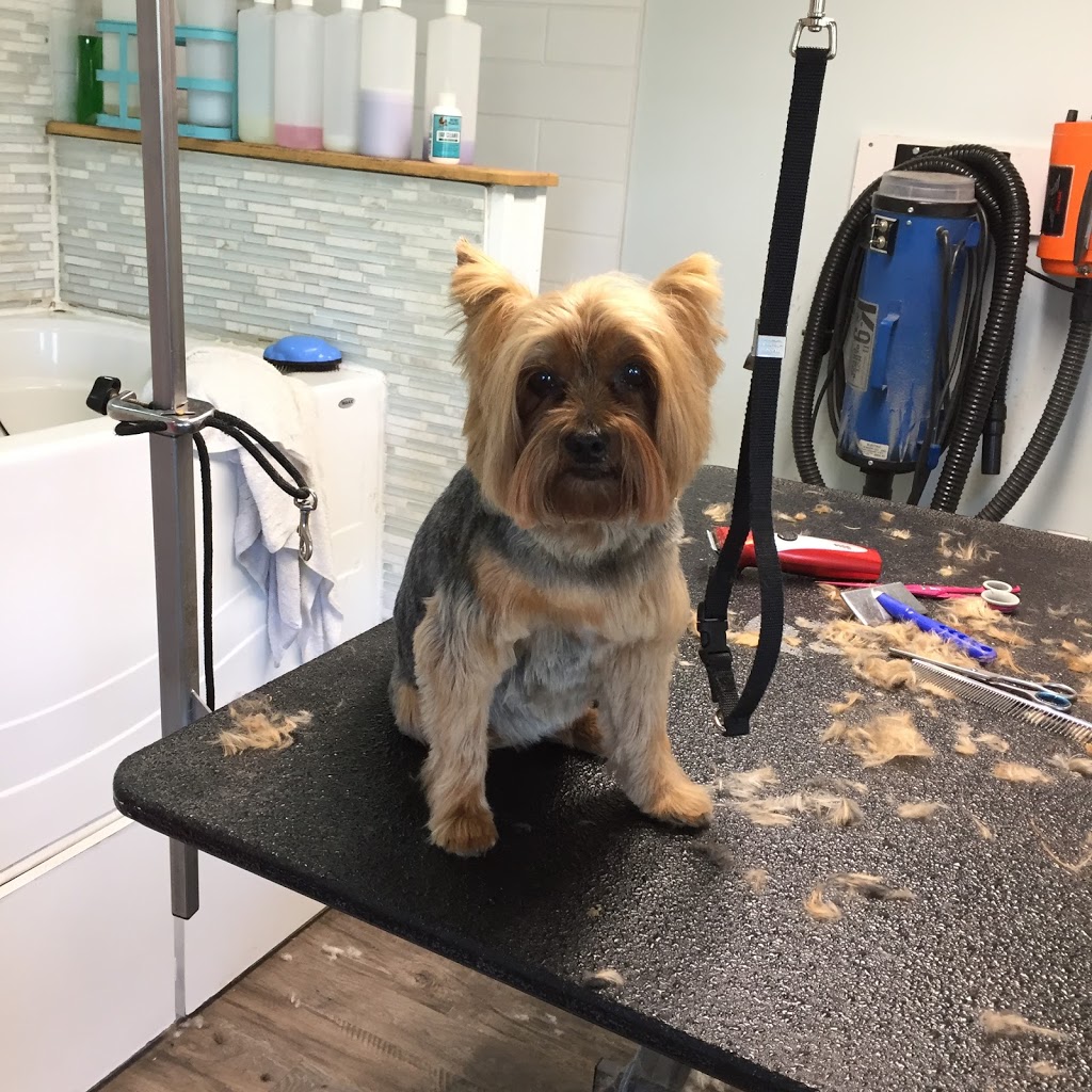 Sticks & Bones Dog Grooming | 3498 Dunlin St, Victoria, BC V9C 0N2, Canada | Phone: (250) 818-5037