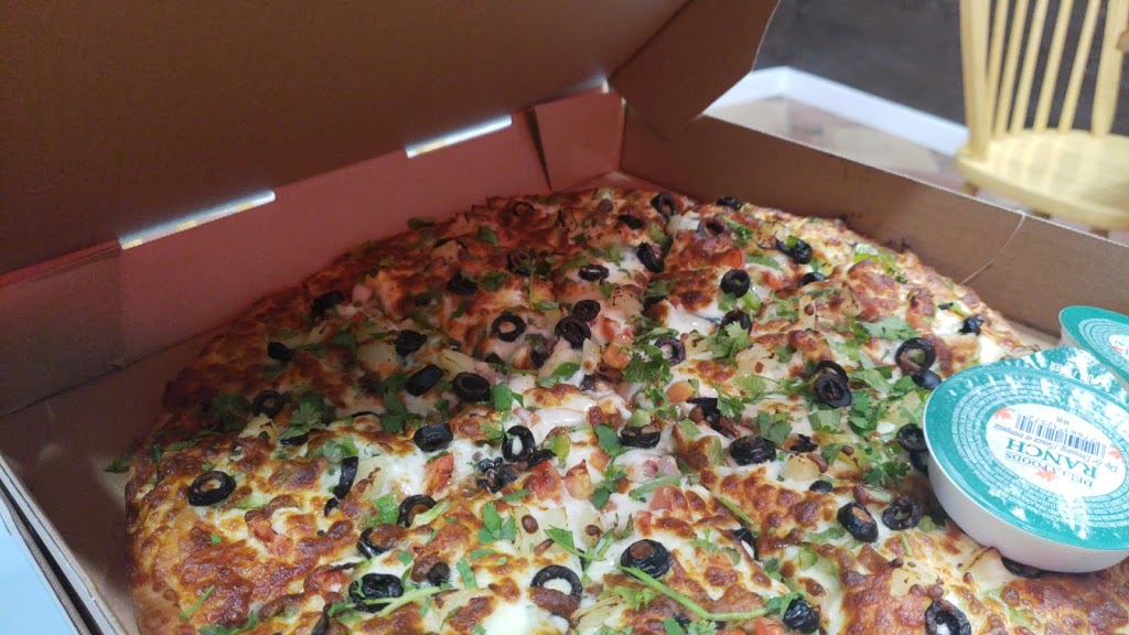 Surrey Veggie Pizza | 8077 King George Blvd unit 110 & 111, Surrey, BC V3W 5B4, Canada | Phone: (604) 593-1110