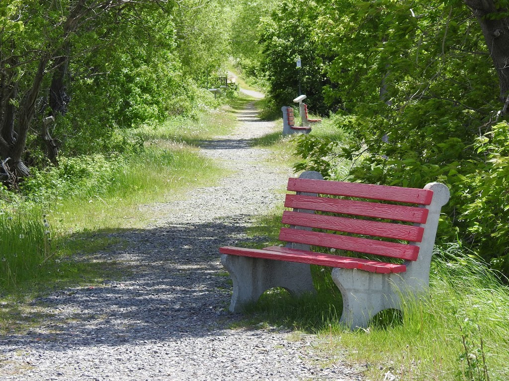 Cap-Saint-Ignace Bird Sanctuary | 147 Rue du Manoir O, Cap-Saint-Ignace, QC G0R 1H0, Canada | Phone: (800) 668-6767