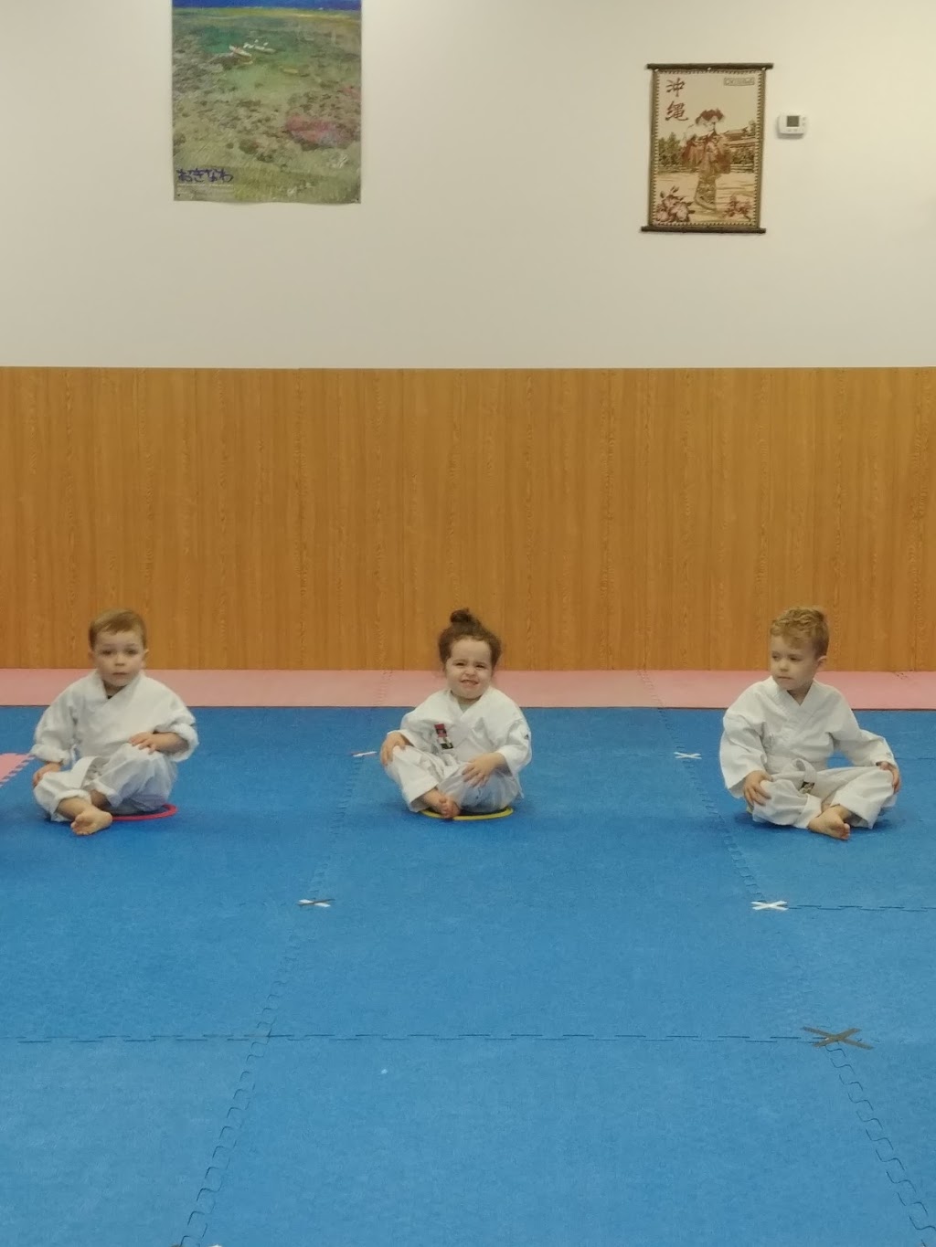 Maple Ridge Karate | 20306 Dewdney Trunk Rd Unit 5, Maple Ridge, BC V2X 6E3, Canada | Phone: (778) 240-0503