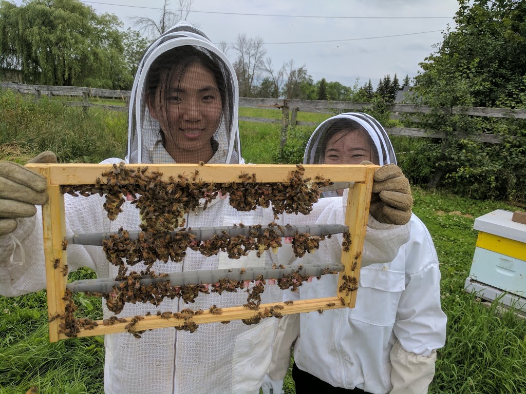 Circling Hawk Honey Farm | 13433 Leslie St, Richmond Hill, ON L4E 1A2, Canada | Phone: (289) 809-4360