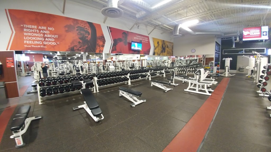 GoodLife Fitness Cambridge Hespeler Road | 600 Hespeler Rd, Cambridge, ON N1R 8H2, Canada | Phone: (519) 622-7220