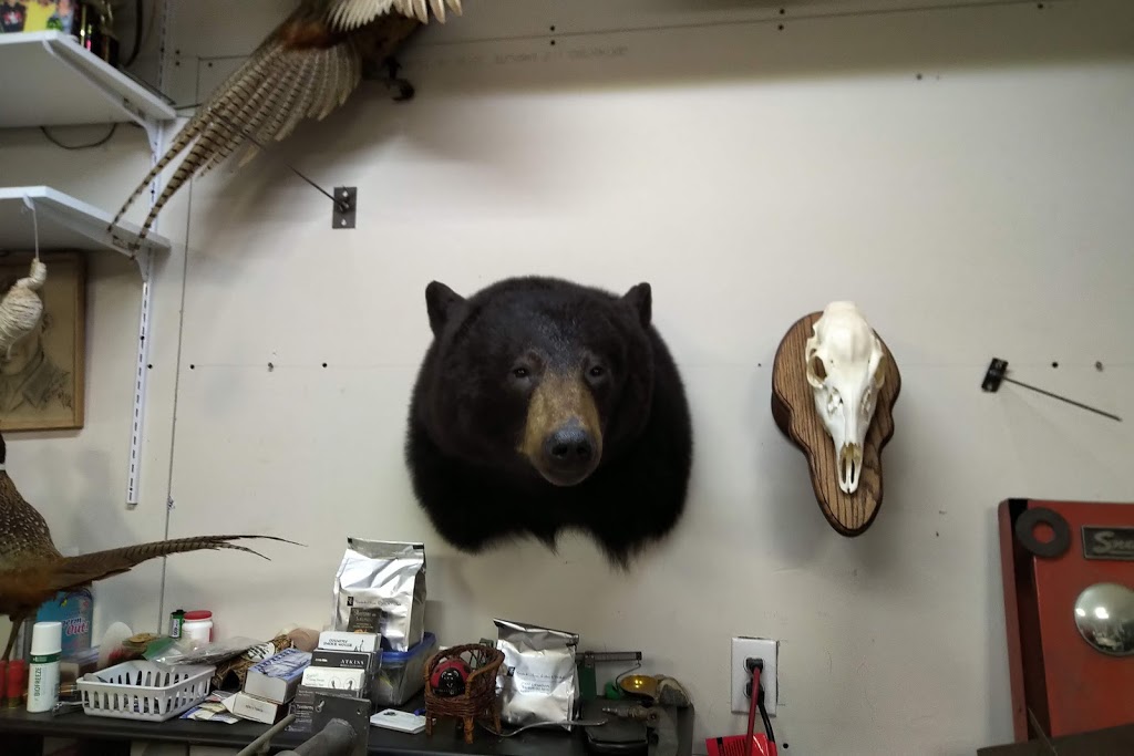 Taxidermy by Robert Beneteau | 627 Richmond St, Amherstburg, ON N9V 3Y4, Canada | Phone: (226) 345-0173