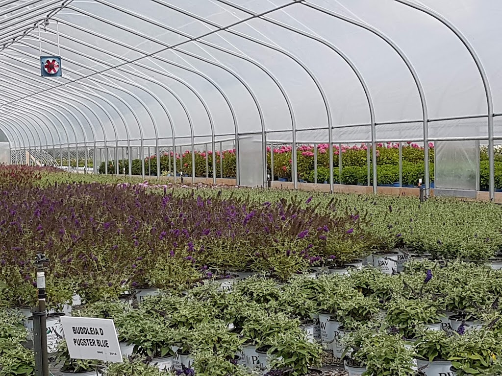 Sheridan Nurseries Head Office | 12302 10 Line, Georgetown, ON L7G 4S7, Canada | Phone: (416) 798-7970