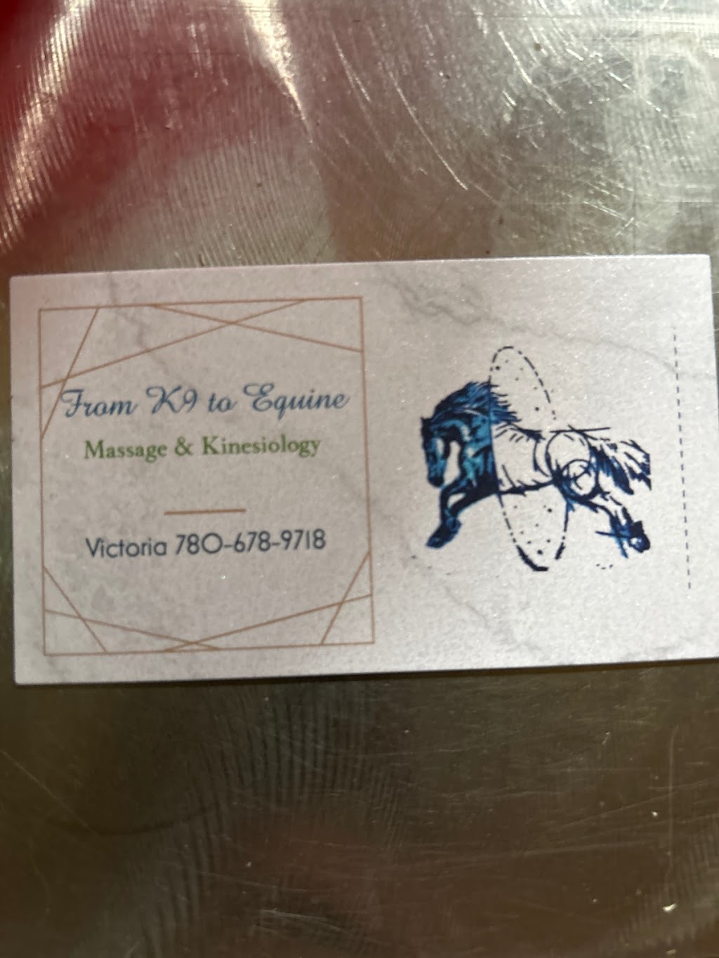 From Equine to K9 massage and kinesiology | 20267 Township Rd 480, Camrose, AB T4V 2M9, Canada | Phone: (780) 678-9718