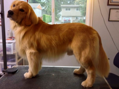 Heads To Tails Pet Grooming | 20319 36b Ave, Langley, BC V3A 2S3, Canada | Phone: (778) 837-5506