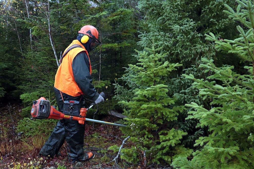 Tufts Forestry Services Ltd | 21 Tidal Bore Rd, Central Onslow, NS B6L 5M3, Canada | Phone: (902) 957-0890