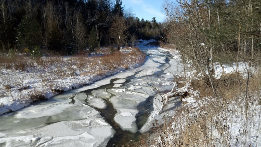 Bob Hunter Park | 113 Grand River Blvd, Scarborough, ON M1B 1G4, Canada