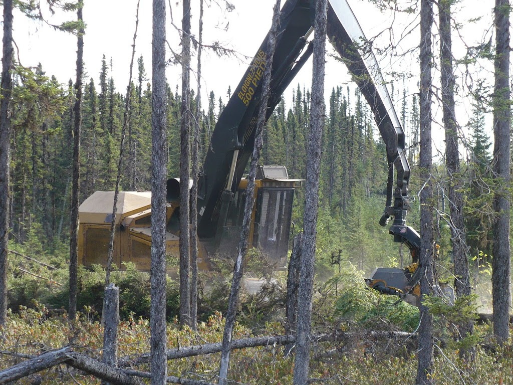 Coopérative Forestière de Petit Paris | 576 Rue Gaudreault, Saint-Ludger-de-Milot, QC G0W 2B0, Canada | Phone: (418) 373-2575