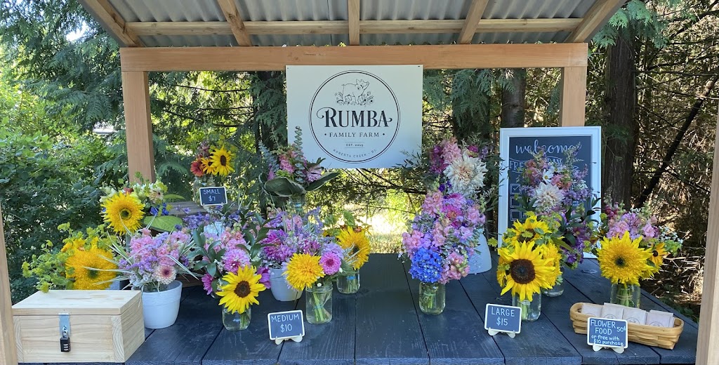 Rumba Family Farm | 3469 Stellar Pl, Roberts Creek, BC V0N 2W1, Canada | Phone: (604) 989-1987