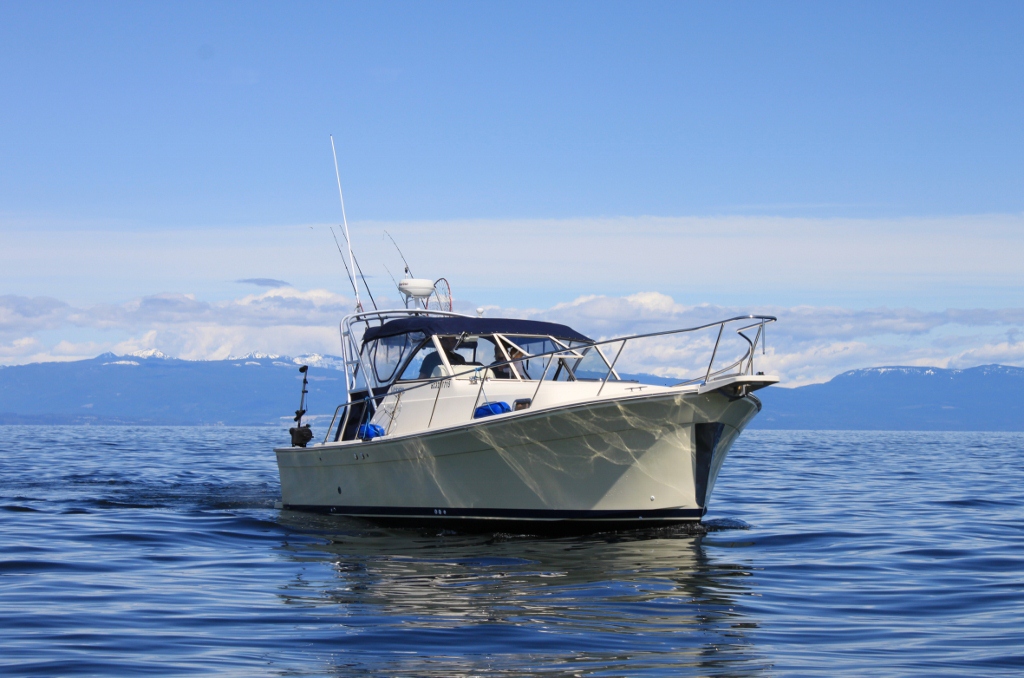 Haida Gold Ocean Adventures | Fairwinds Marina, 3521 Dolphin Dr, Nanoose Bay, BC V9P 9K1, Canada | Phone: (250) 821-3309