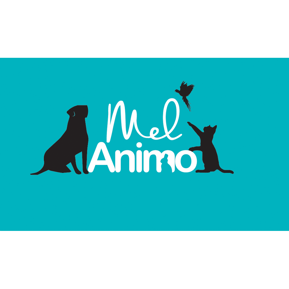 MelAnimo Boutique et Toilettage bien-être animal | 1996 3e Rue, St-Romuald, QC G6W 5M6, Canada | Phone: (418) 839-6789