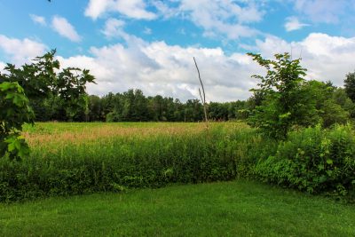 Chemin du Lac | 264 Rang de la Grande Terre, Saint-François-du-Lac, QC J0G 1M0, Canada | Phone: (450) 249-1031