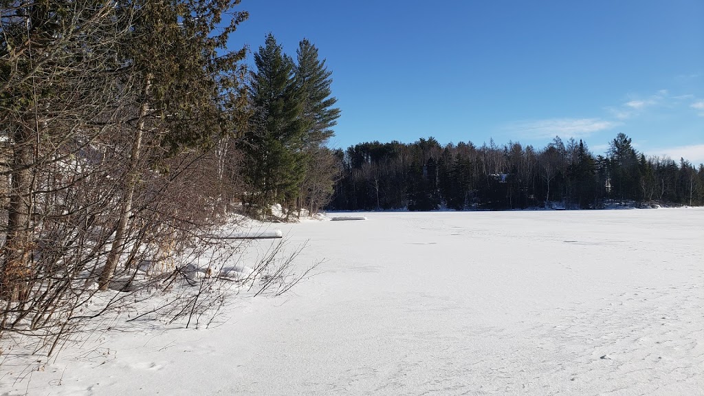 La Baleine Bleue | 1372 Chemin Desmarais, Sainte-Émélie-de-lÉnergie, QC J0K 2K0, Canada | Phone: (438) 888-8000