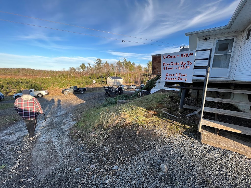 Hogans Christmas Tree Farm | 315 Etter Rd, Mount Uniacke, NS B0N 1Z0, Canada | Phone: (902) 866-2392