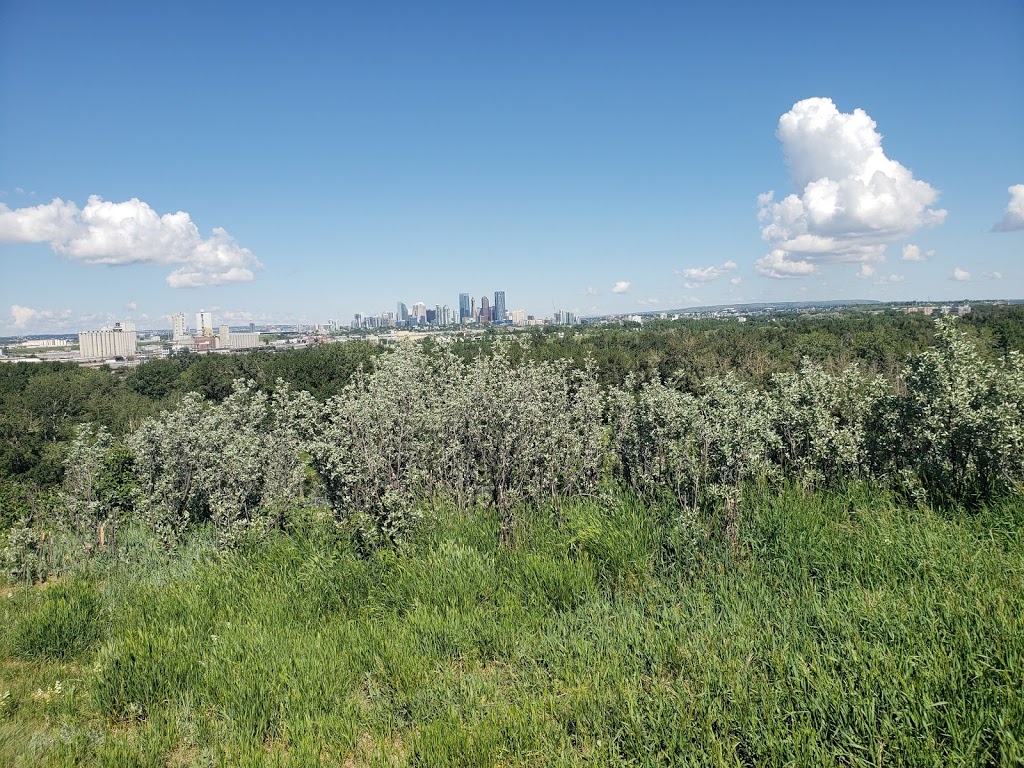 Southview Off Leash Area | Dover, Calgary, AB T2B, Canada