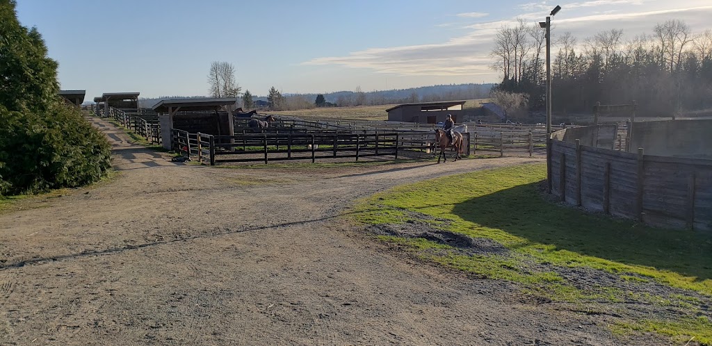 Pacific Country Stables | 21852 16 Ave, Langley Twp, BC V2Z 1K5, Canada | Phone: (778) 549-6939