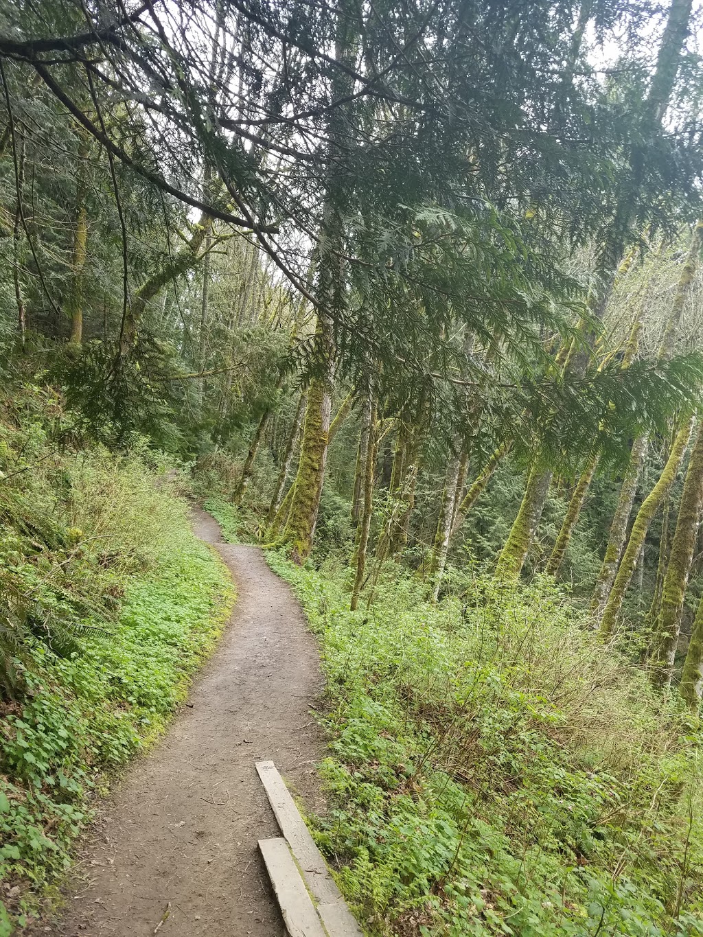 Chuckanut Mountain / Pine & Cedar Lakes County Park | Pine and Cedar Lakes Trail, Bellingham, WA 98229, USA | Phone: (360) 733-2900