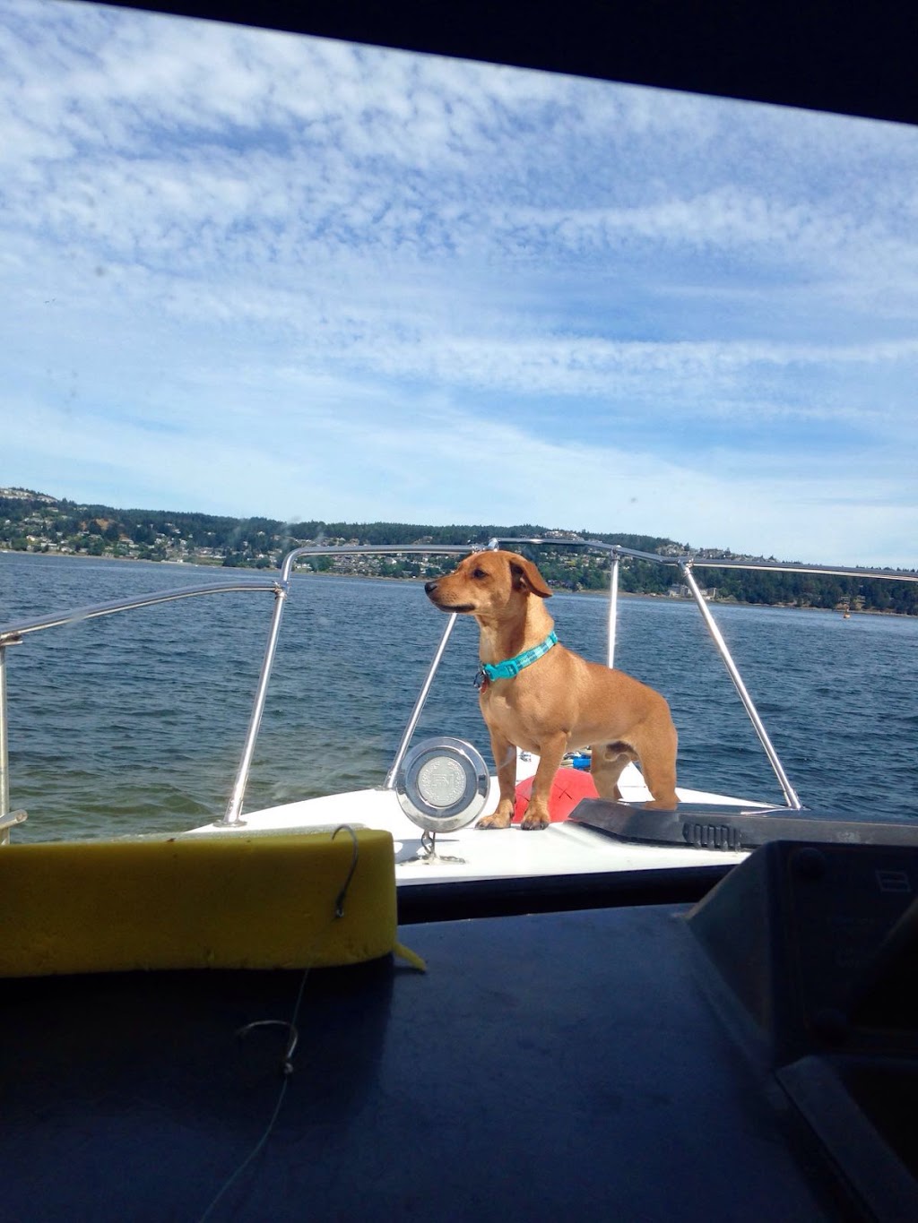 Seas the Day Fishing Charters | 2065 Cedar Rd, Nanaimo, BC V9X 1J6, Canada | Phone: (250) 714-2075