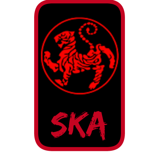 Shotokan karaté Aylmer | 78 Rue Principale, Gatineau, QC J8H 3L7, Canada | Phone: (819) 332-4336