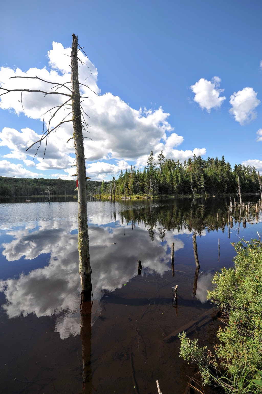 Bureau dinformation touristique de Saint-Donat | 536 Rue Principale, Saint-Donat-de-Montcalm, QC J0T 2C0, Canada | Phone: (888) 783-6628