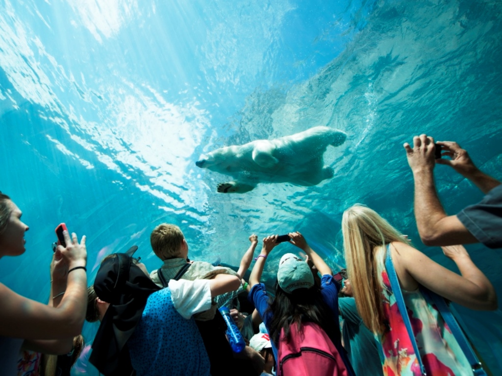 Assiniboine Park Zoo | 2595 Roblin Blvd, Winnipeg, MB R3R 2N7, Canada | Phone: (204) 927-6000