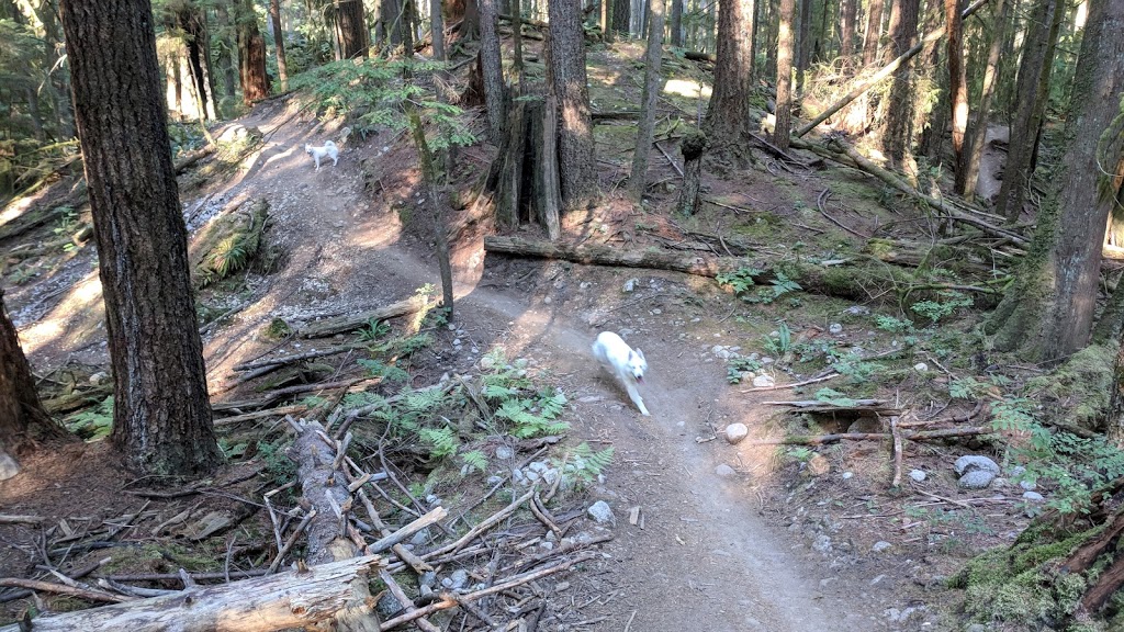 Hyannis Trail | Hyannis Dr, North Vancouver, BC V7H 2E8, Canada