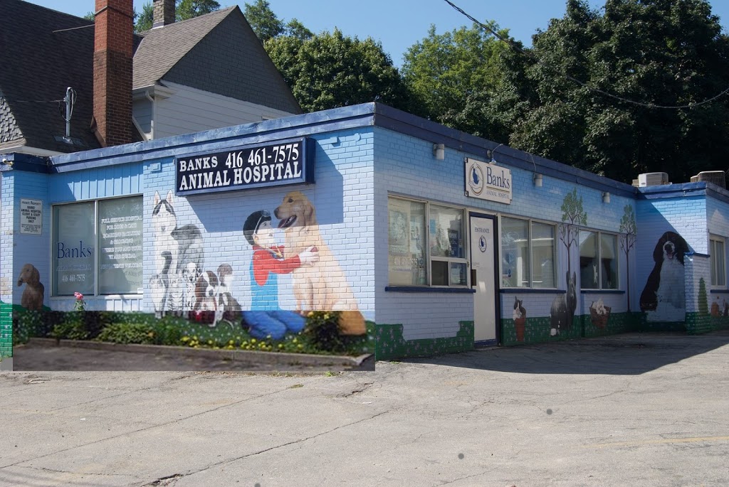 Banks Animal Hospital | 230 Coxwell Ave, Toronto, ON M4L 3B2, Canada | Phone: (416) 461-7575