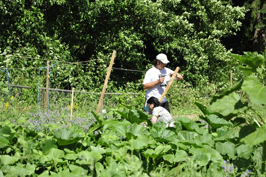 Pinsch of Soil Farm | 258 208 St, Langley City, BC V2Z 1T7, Canada | Phone: (778) 899-2102