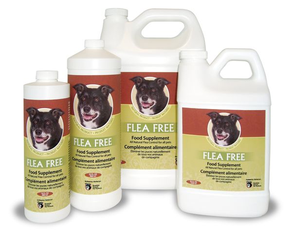 Flea Free Canada - FleeZeez Holistic Blend | 725 Ammon Rd, Irishtown, NB E1H 2E3, Canada | Phone: (506) 866-3772