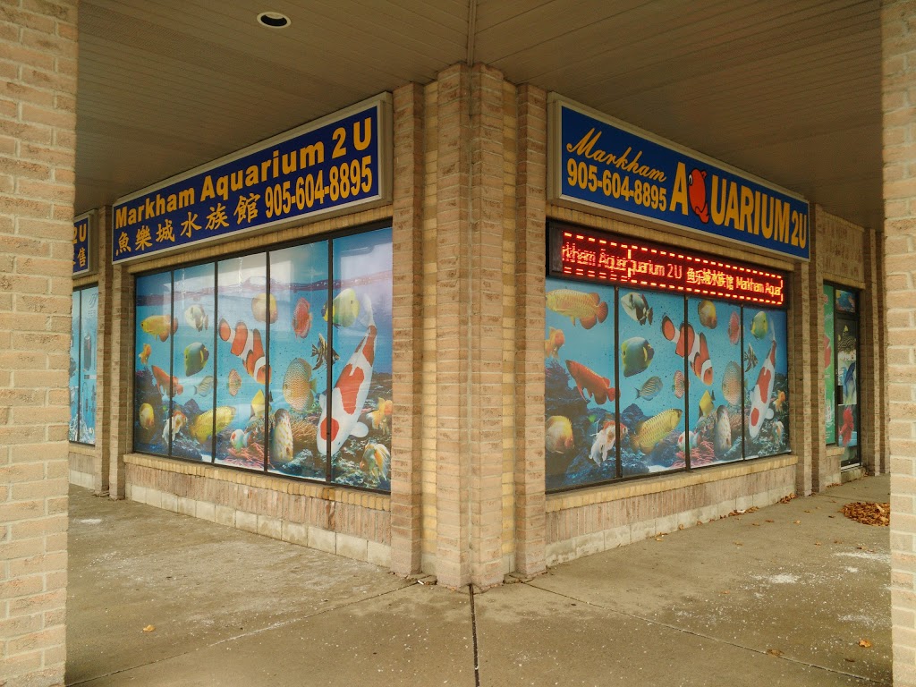 Markham Aquarium 2 U | 5 Hillcroft Dr, Markham, ON L3S 1R6, Canada | Phone: (905) 604-8895