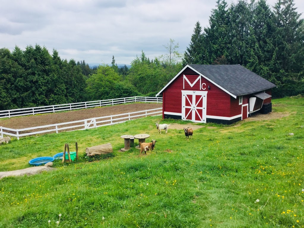 Joel McDonald’s Farm | 9201 Clay St, Mission, BC V4S 1G1, Canada | Phone: (778) 989-8045