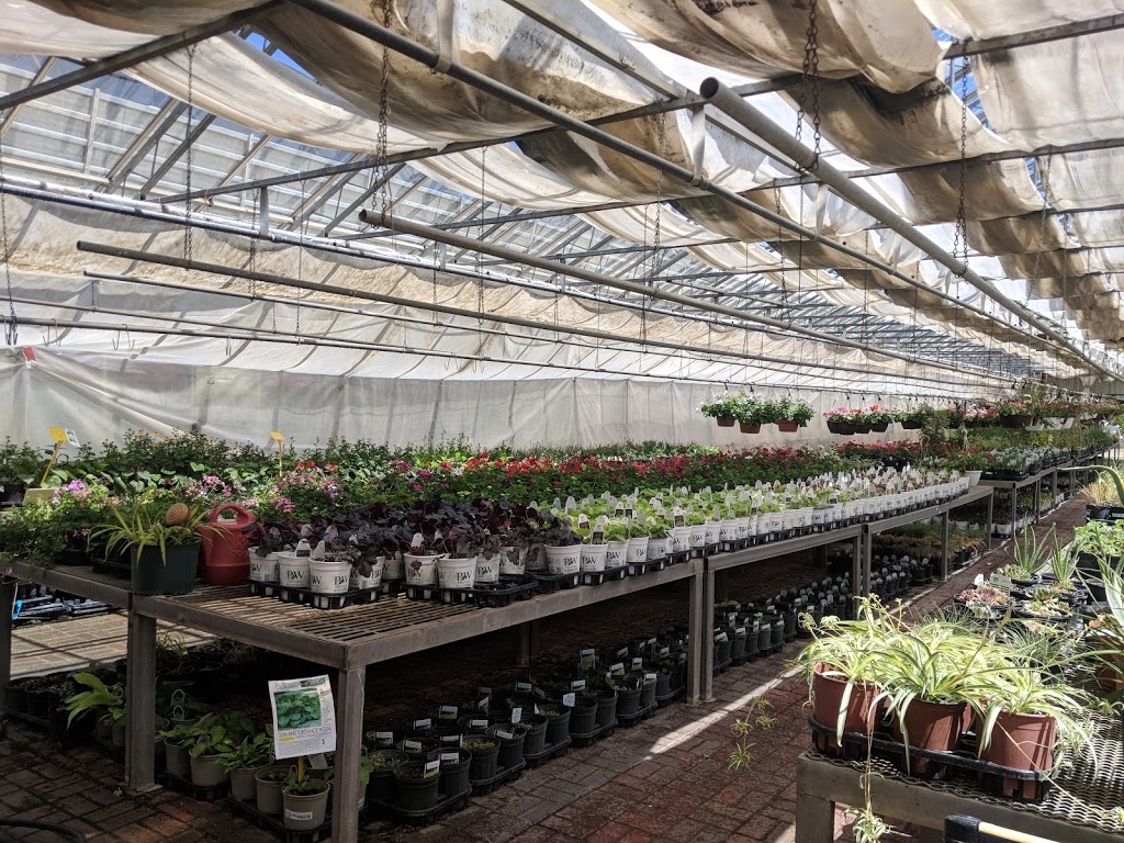 Johns Nursery & Garden Centre | 1060 Lobsinger Line, Waterloo, ON N2J 4G8, Canada | Phone: (519) 664-2482