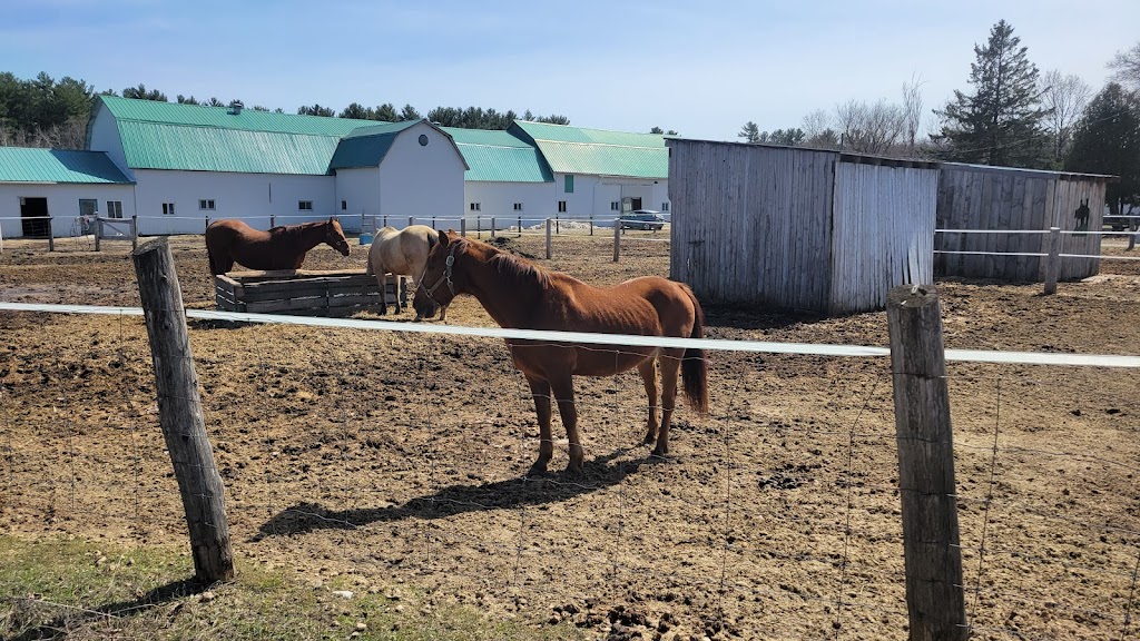 Écurie Beaux Champs | 17366 Rang Ste Marguerite, Mirabel, QC J7J 2E7, Canada | Phone: (450) 999-1331