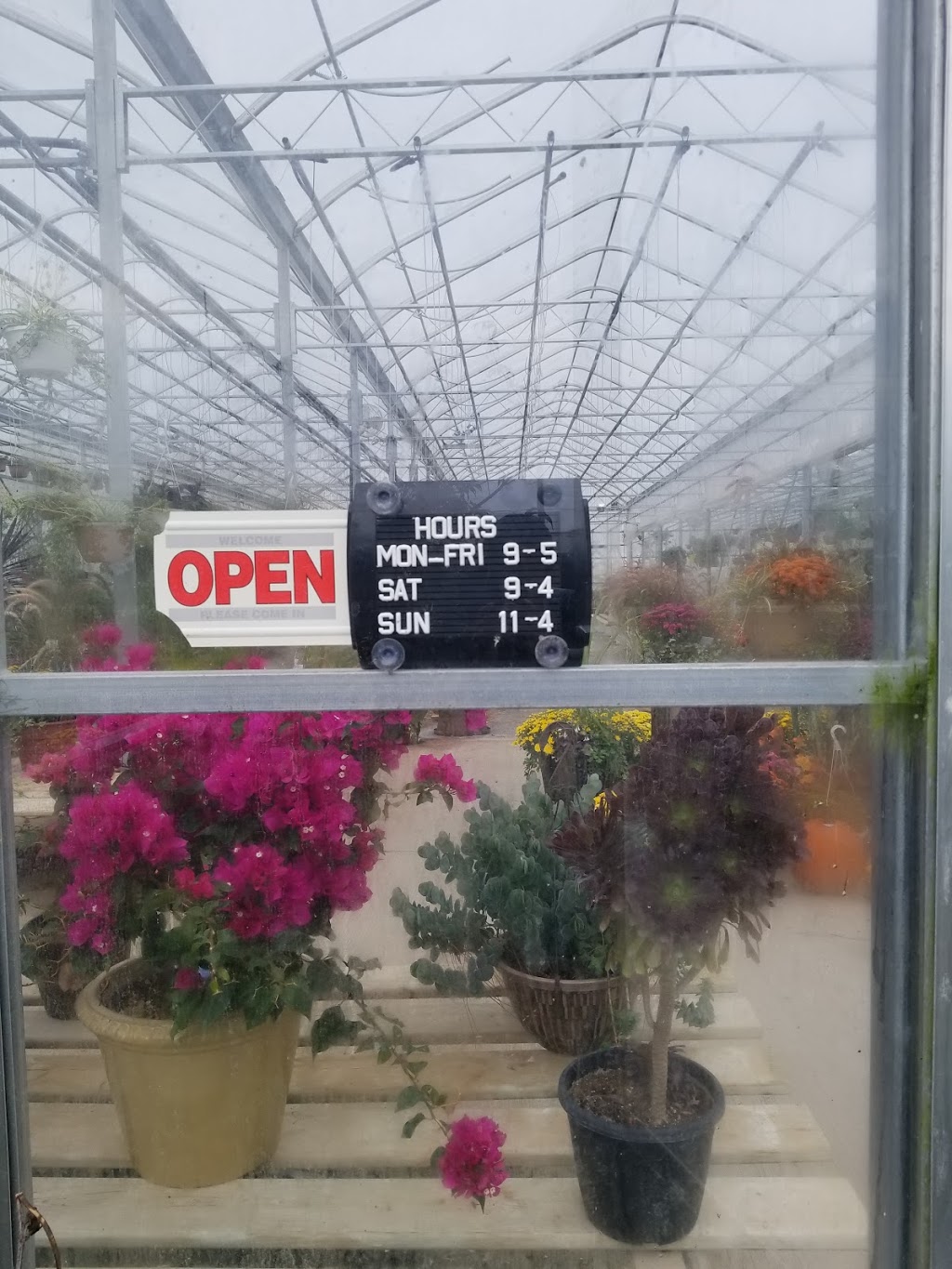 Scotts, J & D Greenhouses | 160 Huron Rd, Mitchell, ON N0K 1N0, Canada | Phone: (519) 348-8343