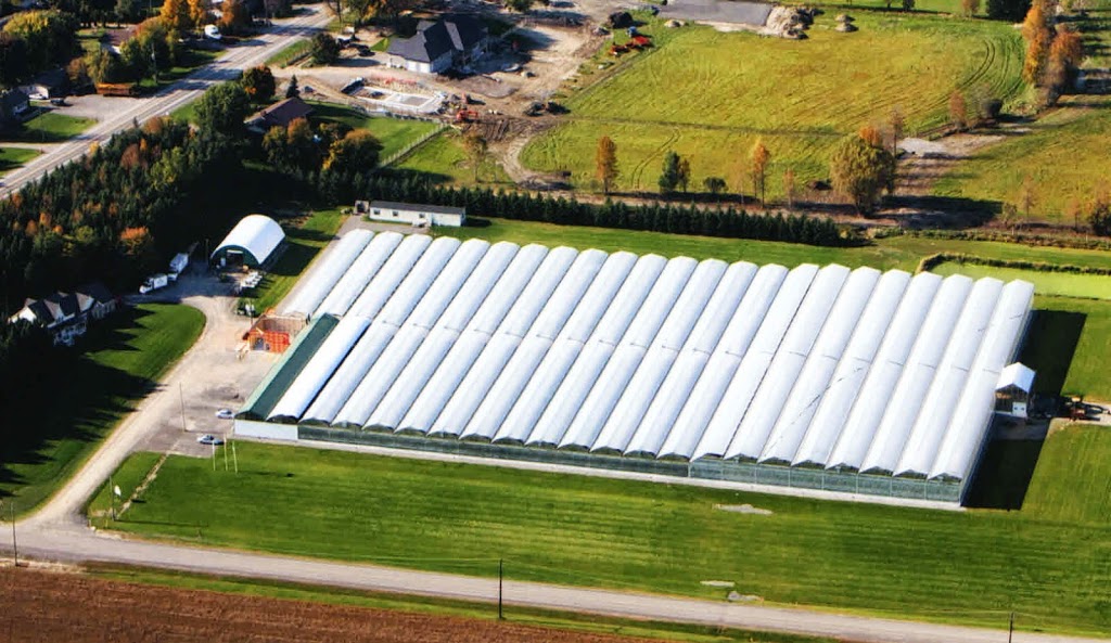 SunTech Greenhouses Ltd | 5541 Doyle Rd, Manotick, ON K4M 1B4, Canada | Phone: (613) 692-3388