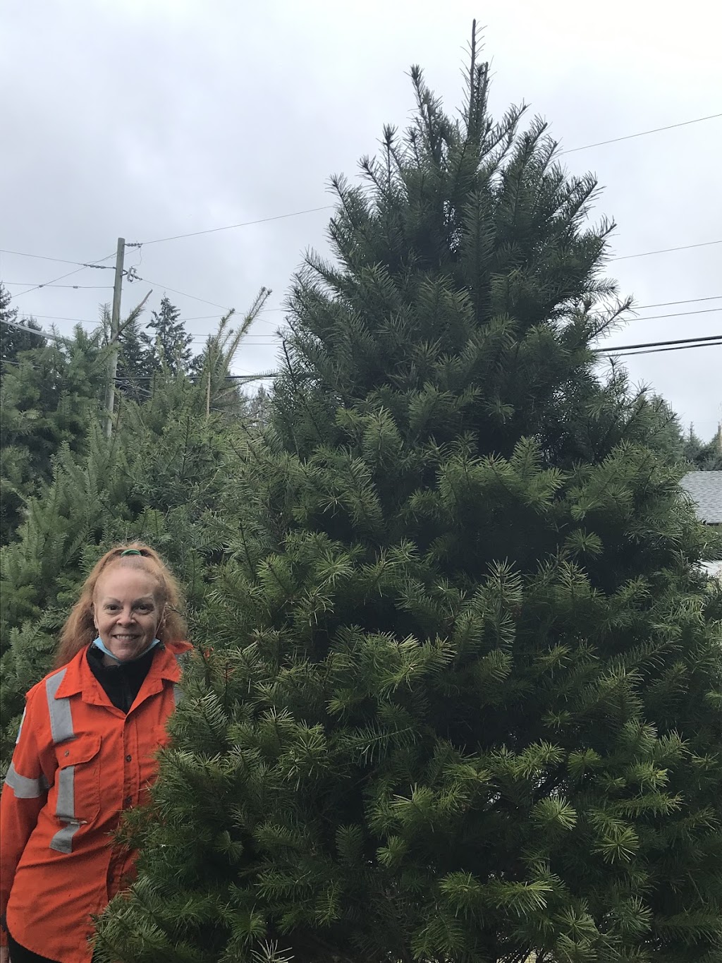 Gogos Christmas Tree Lot | 55 Pryde Ave, Nanaimo, BC V9S 4R5, Canada | Phone: (250) 816-8373