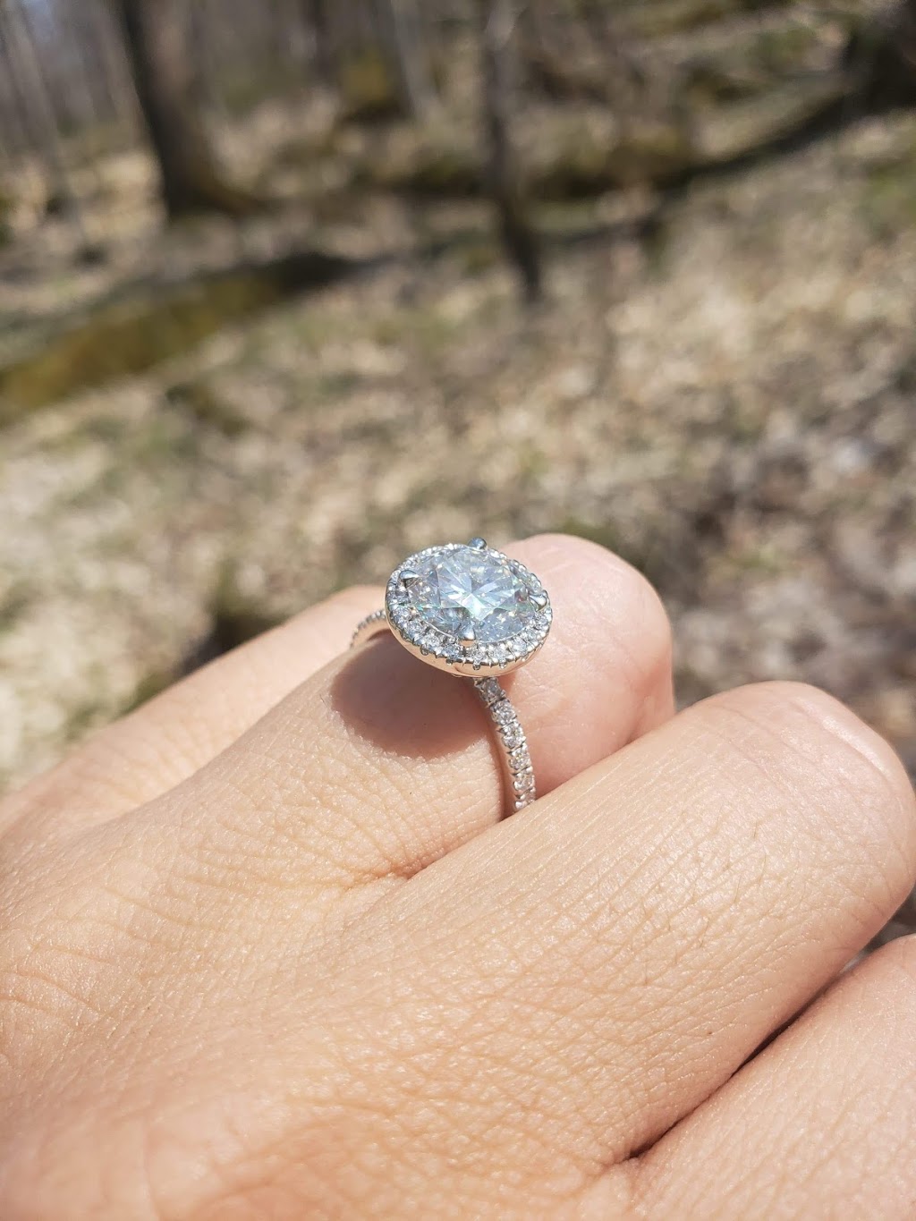 Ring Come True - Toronto Moissanite | 1090 Don Mills Rd. #403C, North York, ON M3C 3R6, Canada | Phone: (416) 602-6172
