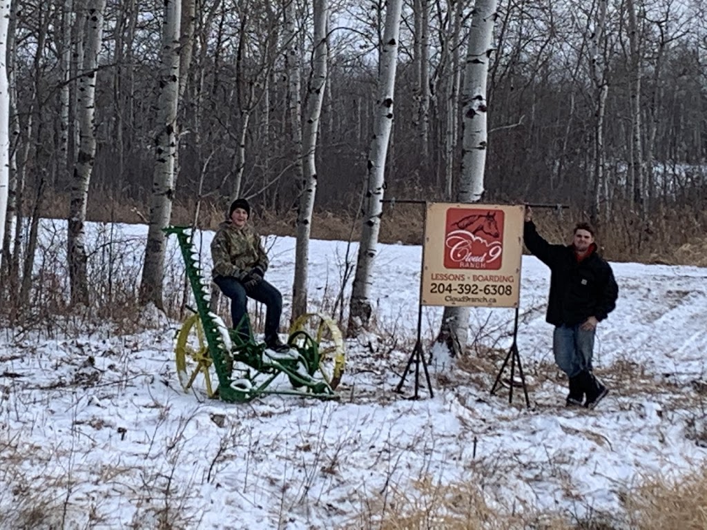 Cloud 9 Equine Therapy | 31061 Ekron Rd 37E, Sarto, MB R0A 0R0, Canada | Phone: (204) 392-6308